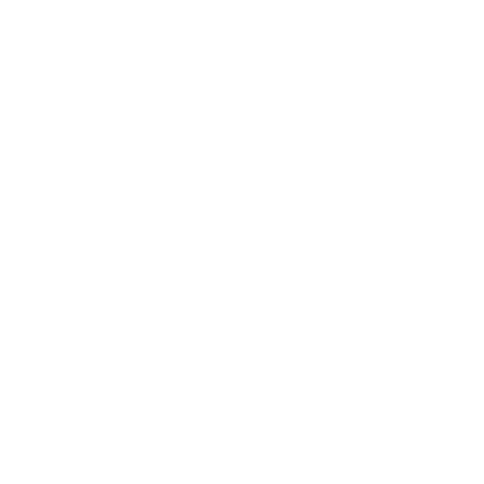 OPTIALGO